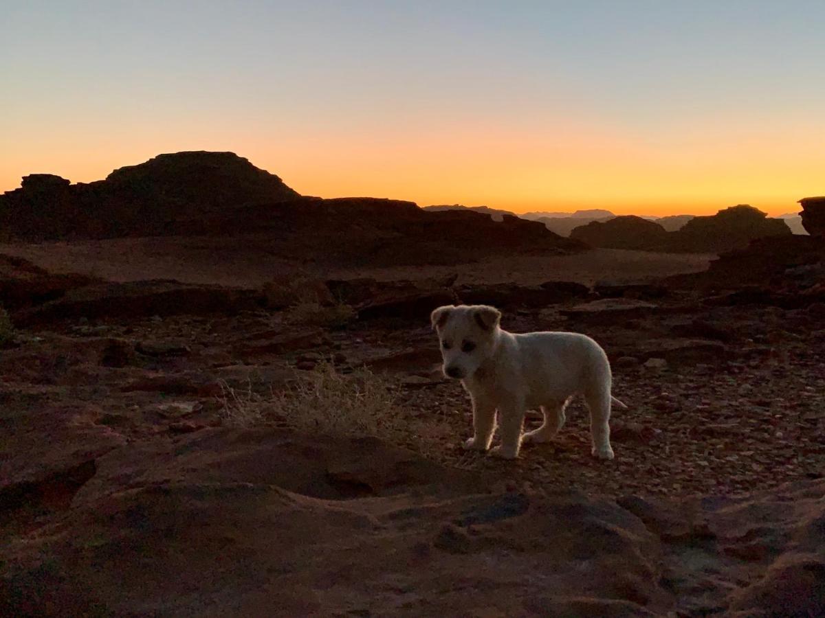 Wadi Rum Bedouin Tour With A Camp 외부 사진